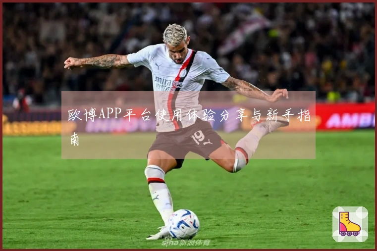 欧博APP平台使用体验分享与新手指南