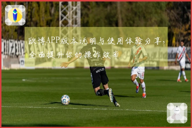 欧博APP版本说明与使用体验分享，全面提升你的操作效率