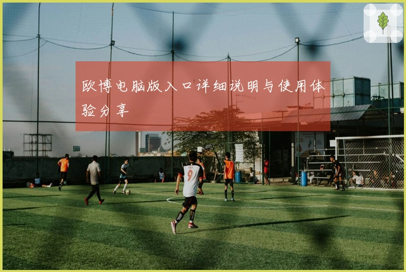 欧博电脑版入口详细说明与使用体验分享