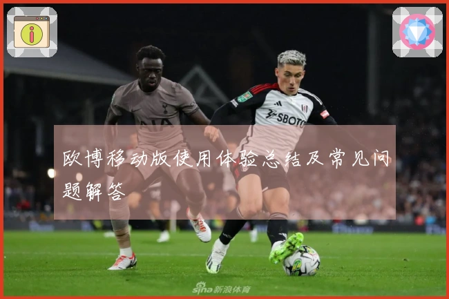 欧博移动版使用体验总结及常见问题解答